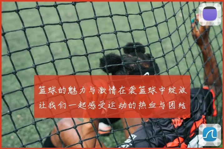 篮球的魅力与激情在袭篮球中绽放让我们一起感受运动的热血与团结